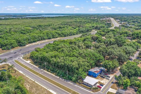 Land in Fruitland Park, Florida № 1570638 - photo 6