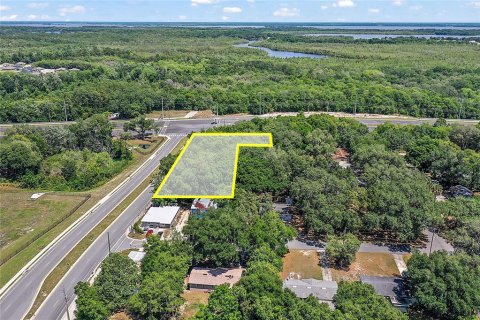 Land in Fruitland Park, Florida № 1570638 - photo 1