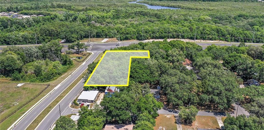 Land in Fruitland Park, Florida № 1570638