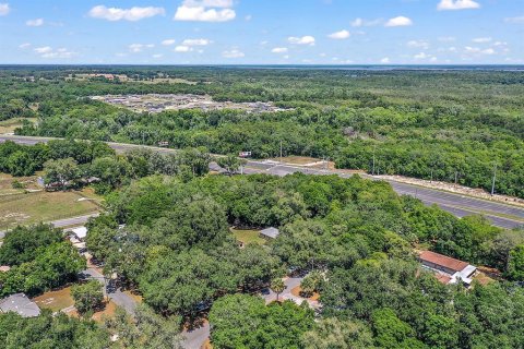 Land in Fruitland Park, Florida № 1570638 - photo 11