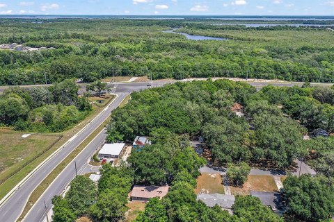 Land in Fruitland Park, Florida № 1570638 - photo 9