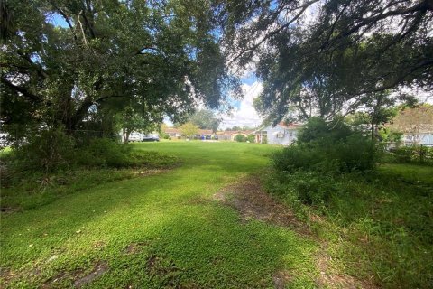 Land in Kissimmee, Florida № 1907641 - photo 4