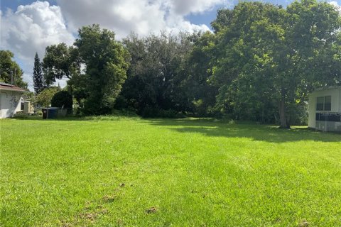 Land in Kissimmee, Florida № 1907641 - photo 1