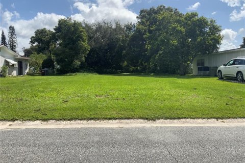 Land in Kissimmee, Florida № 1907641 - photo 6