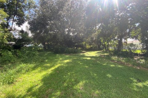 Land in Kissimmee, Florida № 1907641 - photo 3