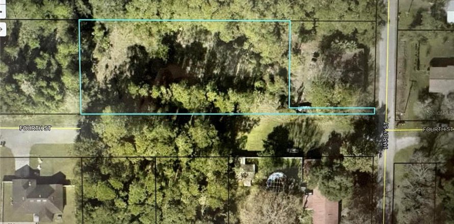Land in Bunnell, Florida № 1851268