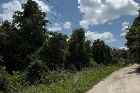 Land in Paisley, Florida № 2162448 - photo 2