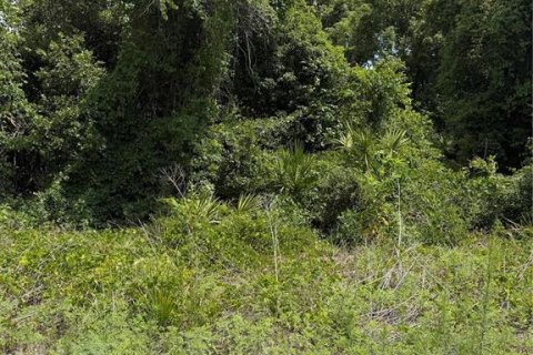 Land in Paisley, Florida № 2162448 - photo 3