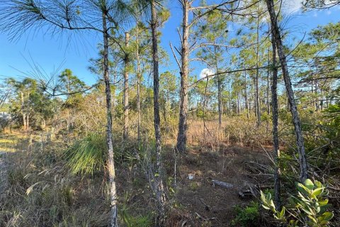 Land in Punta Gorda, Florida № 1917077 - photo 1