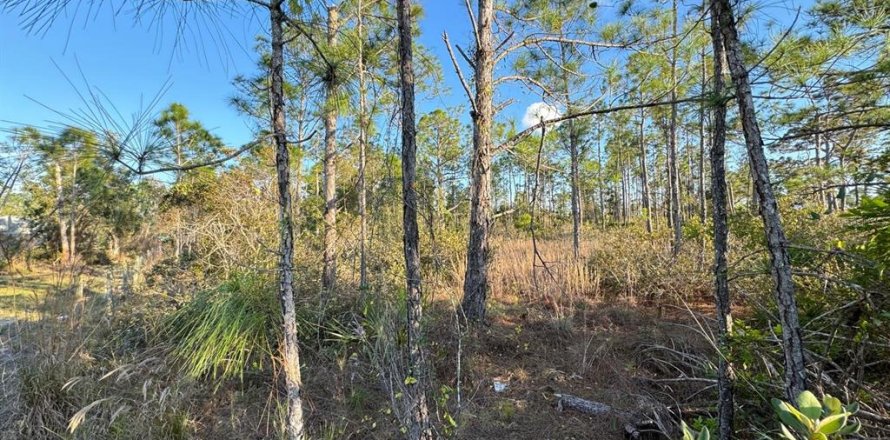 Land in Punta Gorda, Florida № 1917077