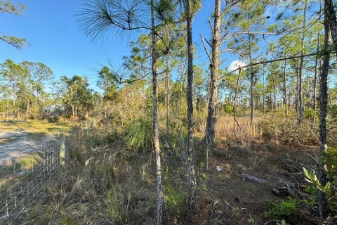 Land in Punta Gorda, Florida № 1917077 - photo 2