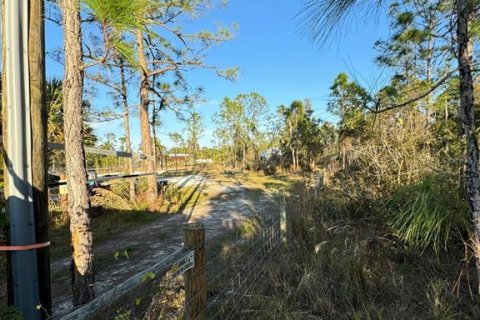 Land in Punta Gorda, Florida № 1917077 - photo 3