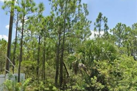 Land in Punta Gorda, Florida № 1917077 - photo 9
