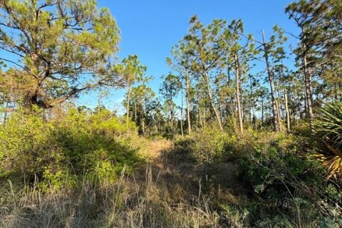 Land in Punta Gorda, Florida № 1917077 - photo 5