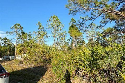 Land in Punta Gorda, Florida № 1917077 - photo 4