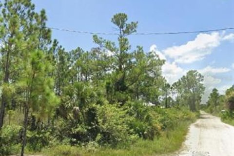 Land in Punta Gorda, Florida № 1917077 - photo 10