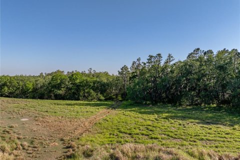 Land in Fort Meade, Florida № 1732686 - photo 10