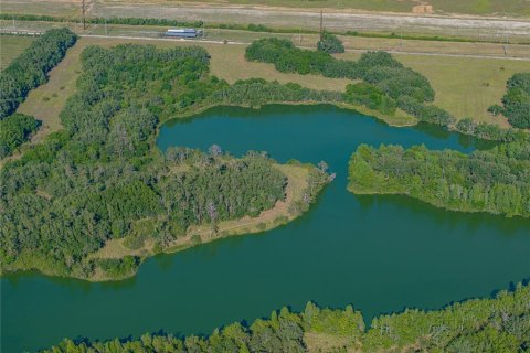 Land in Fort Meade, Florida № 1732686 - photo 11