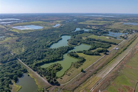 Land in Fort Meade, Florida № 1732686 - photo 9