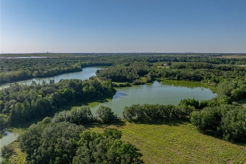 Land in Fort Meade, Florida № 1732686 - photo 6