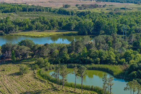 Land in Fort Meade, Florida № 1732686 - photo 3