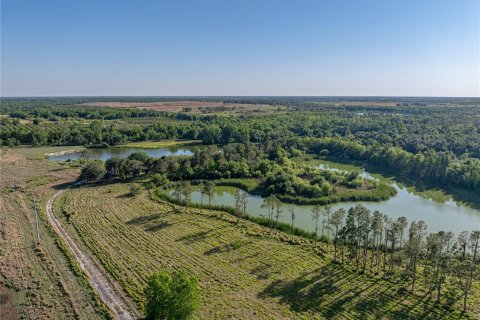 Land in Fort Meade, Florida № 1732686 - photo 14