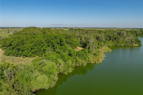Land in Fort Meade, Florida № 1732686 - photo 5