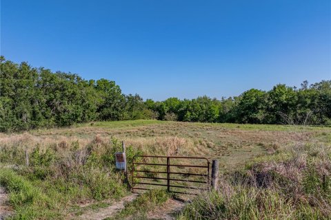 Land in Fort Meade, Florida № 1732686 - photo 12