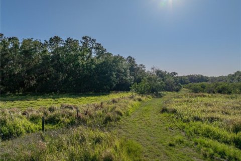 Land in Fort Meade, Florida № 1732686 - photo 4