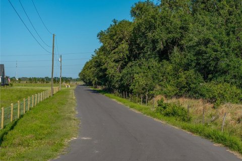 Land in Fort Meade, Florida № 1732686 - photo 2