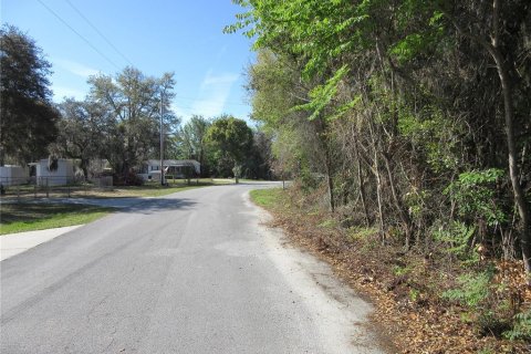Land in Silver Springs Shores, Florida № 2165452 - photo 6
