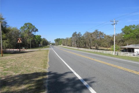 Land in Silver Springs Shores, Florida № 2165452 - photo 5