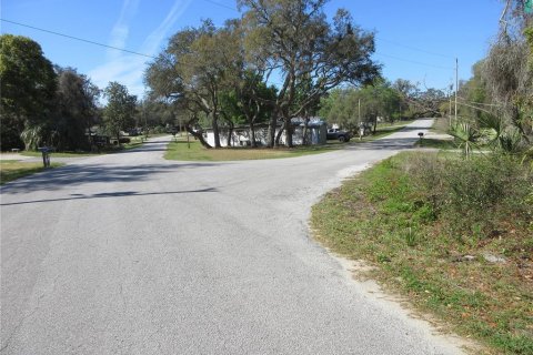 Land in Silver Springs Shores, Florida № 2165452 - photo 2