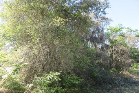 Land in Silver Springs Shores, Florida № 2165452 - photo 3