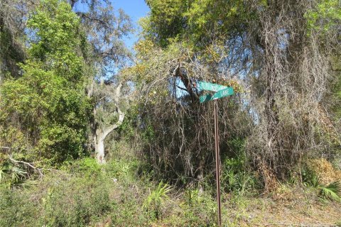 Land in Silver Springs Shores, Florida № 2165452 - photo 4