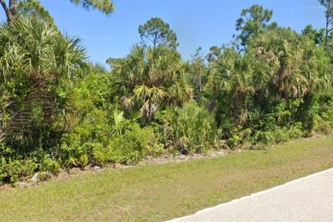 Land in Port Charlotte, Florida № 2374013 - photo 3