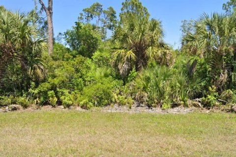 Land in Port Charlotte, Florida № 2374013 - photo 4