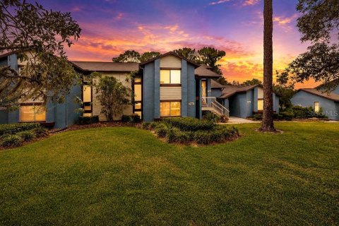 Condo à Weeki Wachee, Floride, 2 chambres  № 2151892