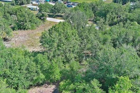 Land in Punta Gorda, Florida № 2164308 - photo 11