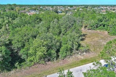 Land in Punta Gorda, Florida № 2164308 - photo 4