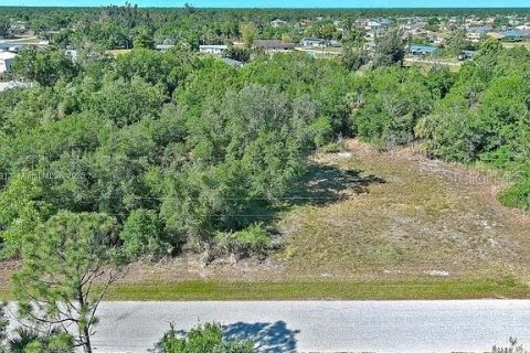 Land in Punta Gorda, Florida № 2164308 - photo 6