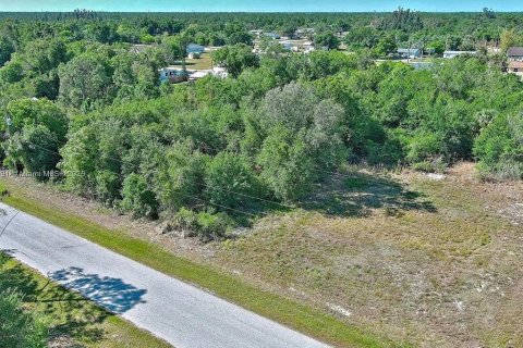 Land in Punta Gorda, Florida № 2164308 - photo 7
