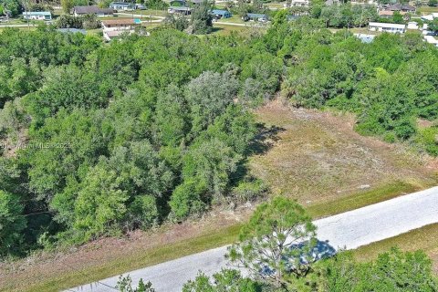 Land in Punta Gorda, Florida № 2164308 - photo 10