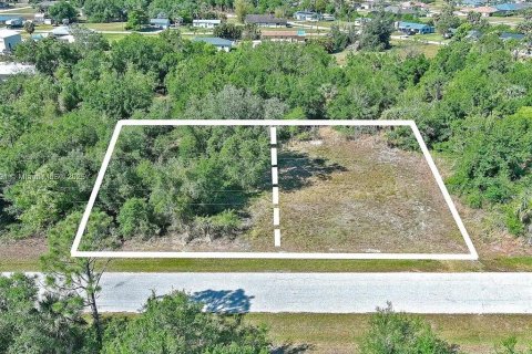 Land in Punta Gorda, Florida № 2164308