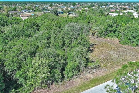 Land in Punta Gorda, Florida № 2164308 - photo 5