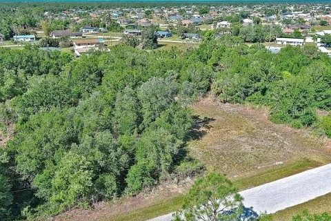 Land in Punta Gorda, Florida № 2164308 - photo 9