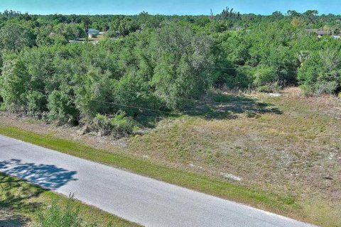 Land in Punta Gorda, Florida № 2164308 - photo 3