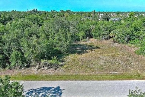 Land in Punta Gorda, Florida № 2164308 - photo 2