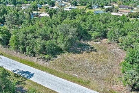 Land in Punta Gorda, Florida № 2164308 - photo 8