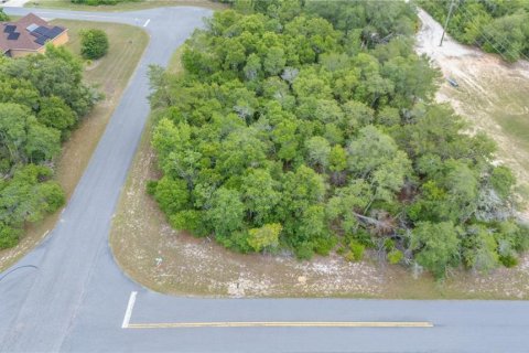 Terreno en venta en Ocala, Florida № 1680879 - foto 6